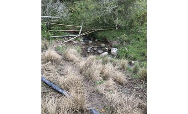 Se Vende Finca Productiva En Pitalito Huila