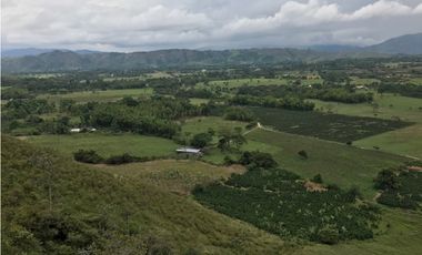 Se Vende Finca Productiva En Pitalito Huila
