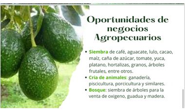 Se Vende Finca Productiva En Pitalito Huila