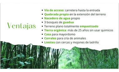 Se Vende Finca Productiva En Pitalito Huila