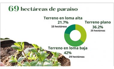 Se Vende Finca Productiva En Pitalito Huila
