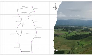 Se Vende Finca Productiva En Pitalito Huila