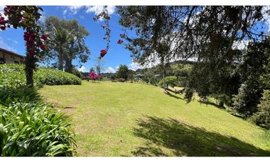 Venta finca de 26 H con aguacate y pino en Pantanillo el Retiro