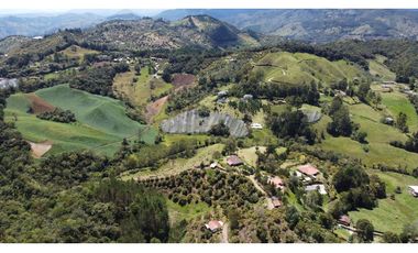 Venta finca de 26 H con aguacate y pino en Pantanillo el Retiro