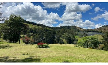 Venta finca de 26 H con aguacate y pino en Pantanillo el Retiro