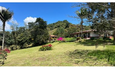 Venta finca de 26 H con aguacate y pino en Pantanillo el Retiro