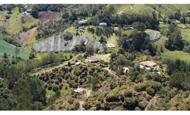 Venta finca de 26 H con aguacate y pino en Pantanillo el Retiro