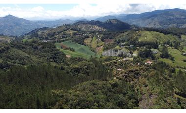 Venta finca de 26 H con aguacate y pino en Pantanillo el Retiro