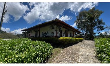 Venta finca de 26 H con aguacate y pino en Pantanillo el Retiro