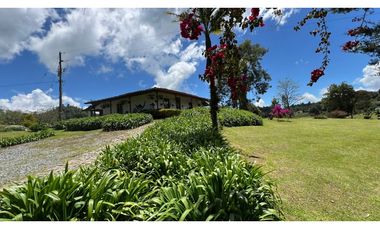 Venta finca de 26 H con aguacate y pino en Pantanillo el Retiro