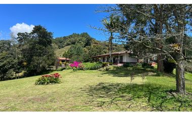 Venta finca de 26 H con aguacate y pino en Pantanillo el Retiro