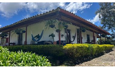 Venta finca de 26 H con aguacate y pino en Pantanillo el Retiro