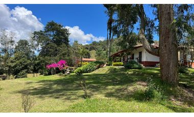 Venta finca de 26 H con aguacate y pino en Pantanillo el Retiro