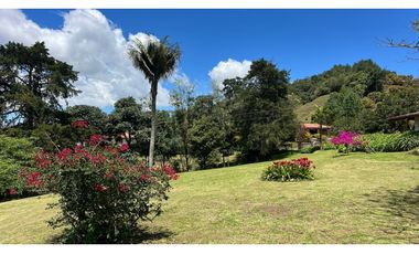 Venta finca de 26 H con aguacate y pino en Pantanillo el Retiro