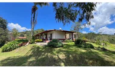 Venta finca de 26 H con aguacate y pino en Pantanillo el Retiro