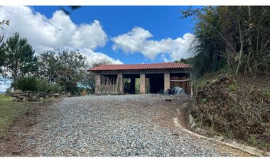 Venta finca de 26 H con aguacate y pino en Pantanillo el Retiro