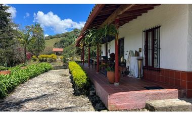 Venta finca de 26 H con aguacate y pino en Pantanillo el Retiro