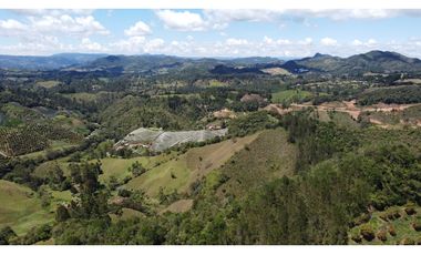 Venta finca de 26 H con aguacate y pino en Pantanillo el Retiro