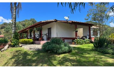 Venta finca de 26 H con aguacate y pino en Pantanillo el Retiro