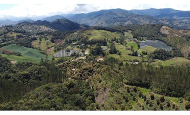 Venta finca de 26 H con aguacate y pino en Pantanillo el Retiro