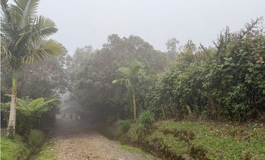 Se Vende Casa Campestre Condominio Filandia Quindio