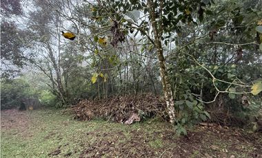 Se Vende Casa Campestre Condominio Filandia Quindio