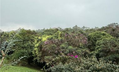 Se Vende Casa Campestre Condominio Filandia Quindio