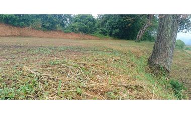LOTE EN VENTA  EN SOPETRAN .