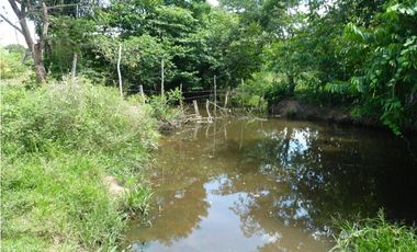 VENDO FINCA AGROPECUARIA COMPLETA O PARCIALMENTE EN AGUACHICA- CESAR