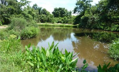 VENDO FINCA AGROPECUARIA COMPLETA O PARCIALMENTE EN AGUACHICA- CESAR