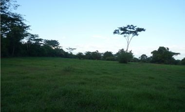 VENDO FINCA AGROPECUARIA COMPLETA O PARCIALMENTE EN AGUACHICA- CESAR