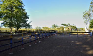 VENDO FINCA AGROPECUARIA COMPLETA O PARCIALMENTE EN AGUACHICA- CESAR