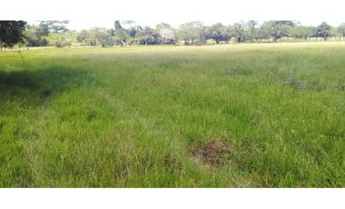 VENDO FINCA AGROPECUARIA COMPLETA O PARCIALMENTE EN AGUACHICA- CESAR