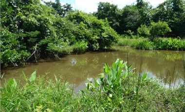 VENDO FINCA AGROPECUARIA COMPLETA O PARCIALMENTE EN AGUACHICA- CESAR