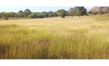 VENDO FINCA AGROPECUARIA COMPLETA O PARCIALMENTE EN AGUACHICA- CESAR