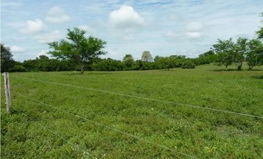 VENDO FINCA AGROPECUARIA COMPLETA O PARCIALMENTE EN AGUACHICA- CESAR