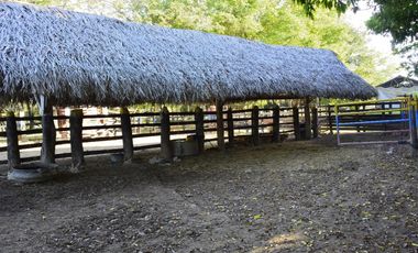 VENDO FINCA AGROPECUARIA COMPLETA O PARCIALMENTE EN AGUACHICA- CESAR