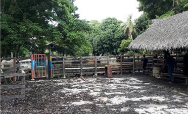 VENDO FINCA AGROPECUARIA COMPLETA O PARCIALMENTE EN AGUACHICA- CESAR