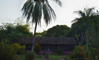 VENDO FINCA AGROPECUARIA COMPLETA O PARCIALMENTE EN AGUACHICA- CESAR