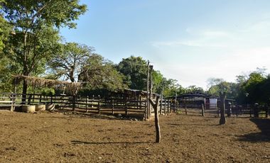 VENDO FINCA AGROPECUARIA COMPLETA O PARCIALMENTE EN AGUACHICA- CESAR