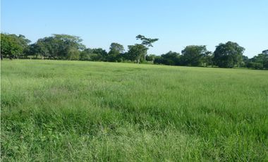 VENDO FINCA AGROPECUARIA COMPLETA O PARCIALMENTE EN AGUACHICA- CESAR