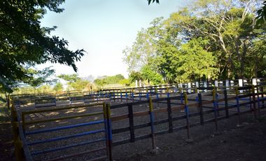 VENDO FINCA AGROPECUARIA COMPLETA O PARCIALMENTE EN AGUACHICA- CESAR