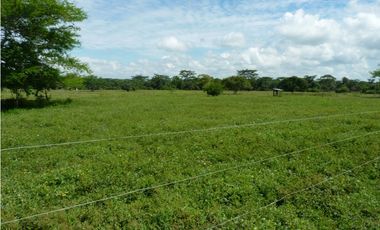 VENDO FINCA AGROPECUARIA COMPLETA O PARCIALMENTE EN AGUACHICA- CESAR