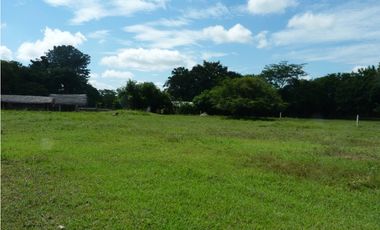 VENDO FINCA AGROPECUARIA COMPLETA O PARCIALMENTE EN AGUACHICA- CESAR