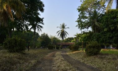 VENDO FINCA AGROPECUARIA COMPLETA O PARCIALMENTE EN AGUACHICA- CESAR