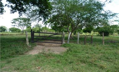 VENDO FINCA AGROPECUARIA COMPLETA O PARCIALMENTE EN AGUACHICA- CESAR