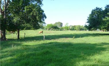 VENDO FINCA AGROPECUARIA COMPLETA O PARCIALMENTE EN AGUACHICA- CESAR