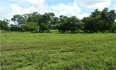 VENDO FINCA AGROPECUARIA COMPLETA O PARCIALMENTE EN AGUACHICA- CESAR