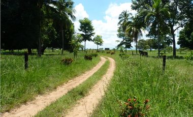 VENDO FINCA AGROPECUARIA COMPLETA O PARCIALMENTE EN AGUACHICA- CESAR