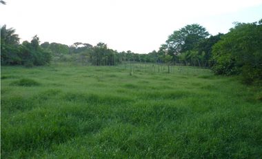 VENDO FINCA AGROPECUARIA COMPLETA O PARCIALMENTE EN AGUACHICA- CESAR